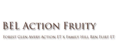 BEL Action Fruity